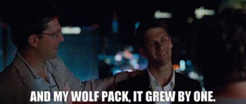 Wolf Pack GIF - Wolf Pack Hangover - Discover & Share GIFs