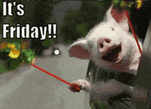 Piglet Friday GIF - Piglet Friday Food Eating GIFs