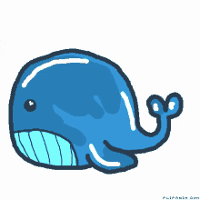 whale blue whale