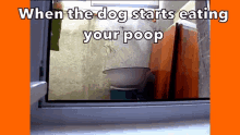 Cat Poop Dog Poop GIF