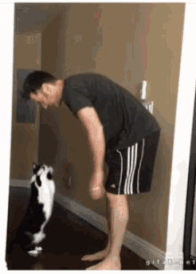Cat Carry GIF - Cat Carry Raise GIFs