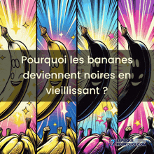a poster with a bunch of bananas and the words " pourquoi les bananes deviennent noires en vieilissant "