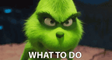What To Do Grinch GIF