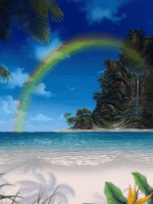 Rainbow Beach GIF - Rainbow Beach GIFs
