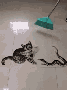 Cat Sweeping GIF - Cat Sweeping Ilusao GIFs