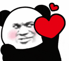 panda chinesememe