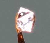 a close up of a piece of paper that is burning