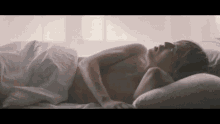 Mesemoa Tomitan GIF