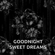 Good Night Sweet Dreams GIF - Good Night Sweet Dreams Cross GIFs