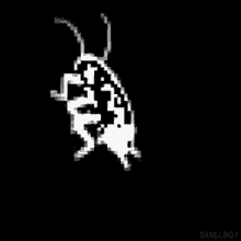 Cucaracha GIF