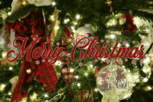 Merry Christmas Greetings GIF - Merry Christmas Greetings GIFs