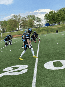 Dc Panthers Dcp GIF