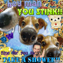 Take A Shower Dog GIF - Take A Shower Shower Dog GIFs