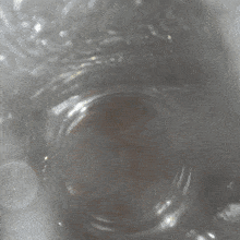 a close up of a gray background with a few white spots