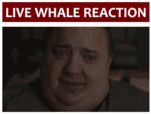 The Whale Whale GIF - The Whale Whale Brendan Fraser GIFs