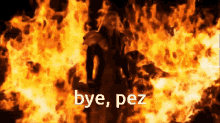 Bye Pez Pez GIF - Bye Pez Pez Goodbye Pez GIFs