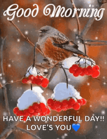 Good Morning Snowing GIF - Good Morning Snowing Bird GIFs