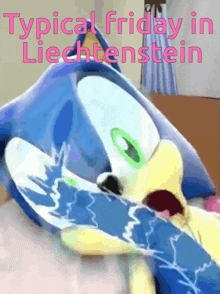 a picture of a stuffed animal with the words " typical friday in liechtenstein "