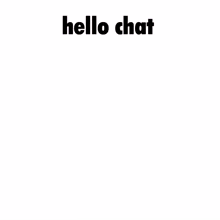 Hello Chat Audi GIF - Hello Chat Hello Chat GIFs