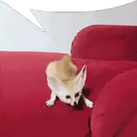 a small dog is sitting on a red couch with a speech bubble above it