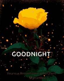 Goodnight Sparkles GIF - Goodnight Sparkles Flower GIFs