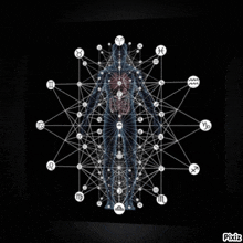 a drawing of a human body with zodiac symbols around it