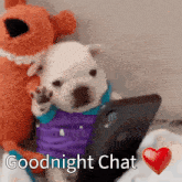 a puppy wearing a purple shirt is sitting next to a stuffed animal with the words goodnight chat written on it