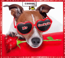 Mrgeekyle Cool GIF - Mrgeekyle Cool Dog GIFs