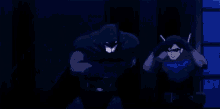 Bat Fam Nightwing GIF - Bat Fam Nightwing Fight GIFs