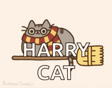 Cat Pusheen GIF - Cat Pusheen Harry Potter GIFs