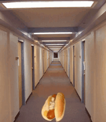 Hot Dog GIF - Hot Dog Hallway GIFs