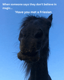 Friesian Friesian Horse GIF - Friesian Friesian Horse Ukff GIFs