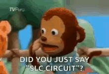 shocked what did you just say slc circuit
