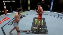 a ufc fight between wang and leonardo is being shown