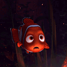Finding Nemo Confused GIF - Finding Nemo Confused Looking Around GIFs