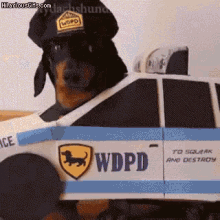 dog police dogchase