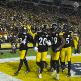 Pittsburgh Steelers Patrick Peterson GIF - Pittsburgh Steelers Patrick Peterson Levi Wallace GIFs