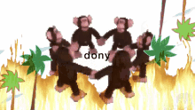 Dony Monke GIF - Dony Monke Monkecircle GIFs
