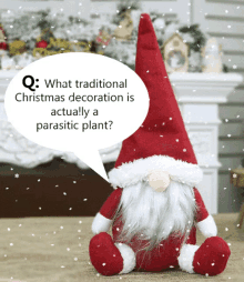 trivia santa claus snow christmas decoration