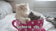 two kittens are sitting in a pink cup with the words lychee & vyn written on it