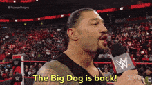 Big Dog Is Back GIF - Big Dog Is Back GIFs