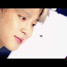 Bts We Love You So Much GIF - Bts We Love You So Much Jimin GIFs