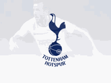 Tottenham GIF - Tottenham GIFs