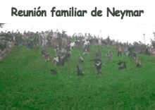 Neymar Rolling GIF