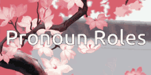 pronoun roles roles pronouns discord banner