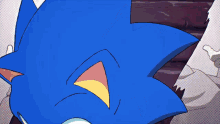 Sonic The Hedgehog Knuckles The Echidna GIF