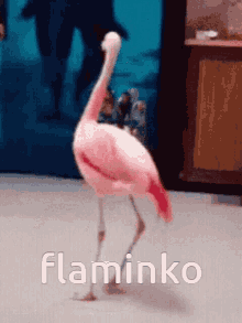 Flamingo Birb GIF - Flamingo Birb Birt GIFs