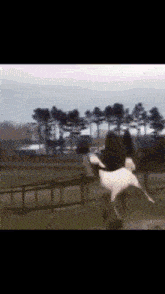 a blurred image of a horse running in a fenced in area