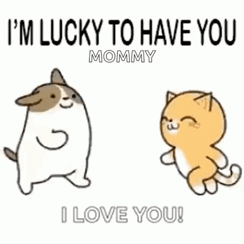 Funny I Love You So Much GIFs | Tenor