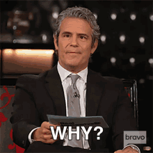 Why Real Housewives Of New York GIF - Why Real Housewives Of New York Whats The Reason GIFs